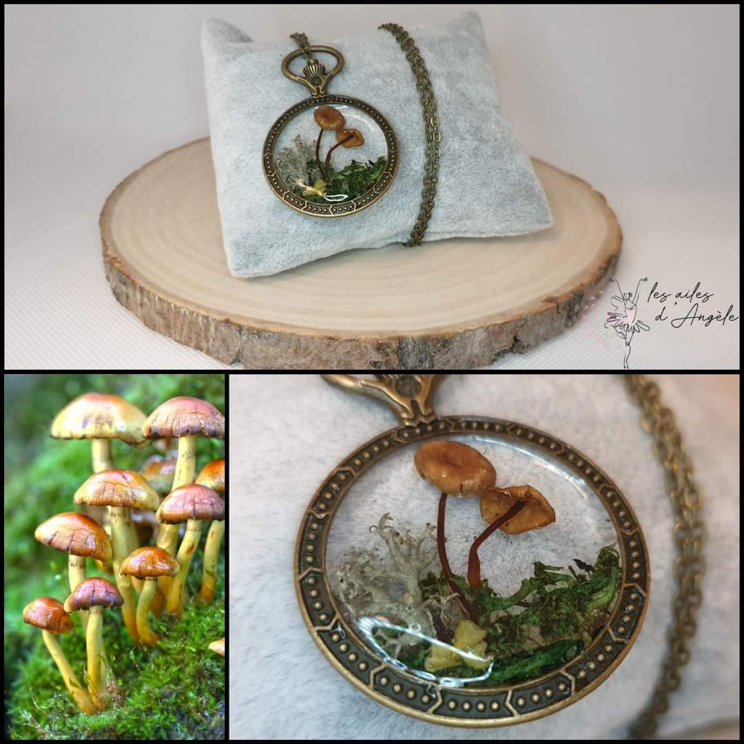 Miniature 2